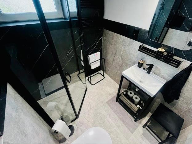 Apartment Welniany Z Sauna Torun